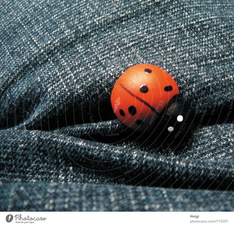 kleiner Marienkäfer aus Holz liegt auf blauem Jeansstoff Jeanshose Stoff rot schwarz weiß Glücksbringer Glückwünsche angemalt Dekoration & Verzierung Freude