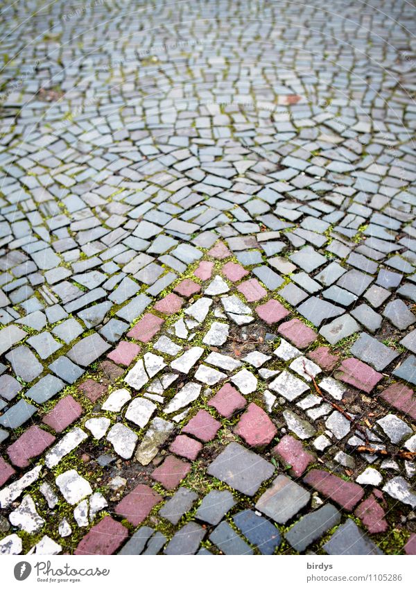 Aachener Pflaster Straße Wege & Pfade Straßenbelag Kopfsteinpflaster Pfeil Stein alt historisch Originalität grau rot weiß Senior Design Netzwerk Stadt Verfall