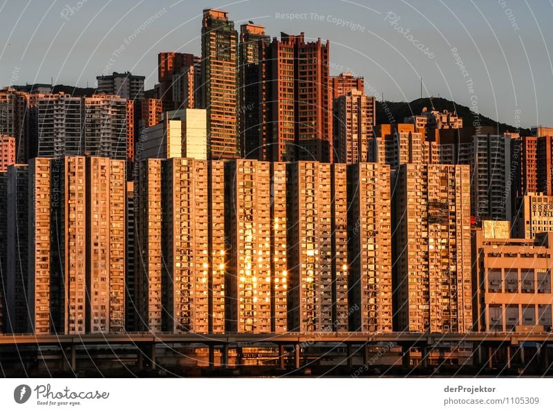Goldene Zellen in Hongkong Ferien & Urlaub & Reisen Tourismus Ausflug Abenteuer Sightseeing Städtereise Kreuzfahrt Häusliches Leben Wohnung Hauptstadt