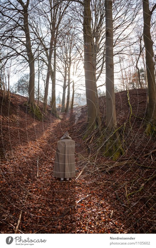 Aufbruch.... harmonisch Mensch 1 Natur Landschaft Sonne Frühling Schönes Wetter Baum Wald Wege & Pfade Mantel laufen ruhig bescheiden zurückhalten Müdigkeit