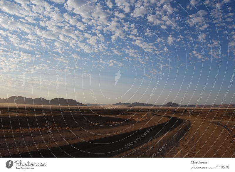 Ferne Dünen Wolkenfetzen Namibia Fetzen Sträucher Teer Asphalt Morgen Himmel Afrika Wüste Straße Stranddüne Berge u. Gebirge Landschaft Sand Morgendämmerung