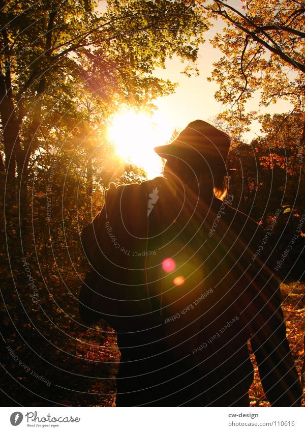 der sonne entgegen... II Spaziergang Pendler Luft atmen maskulin wo Gelände Photo-Shooting Medien Fotograf Fotografieren Blatt Herbst Stimmung Blendeneffekt