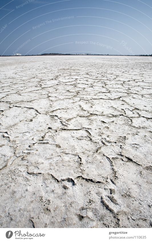 salt lake Salt Lake Zypern Salzsee Meer trocken Strand Küste larnaka cyprus arid dry