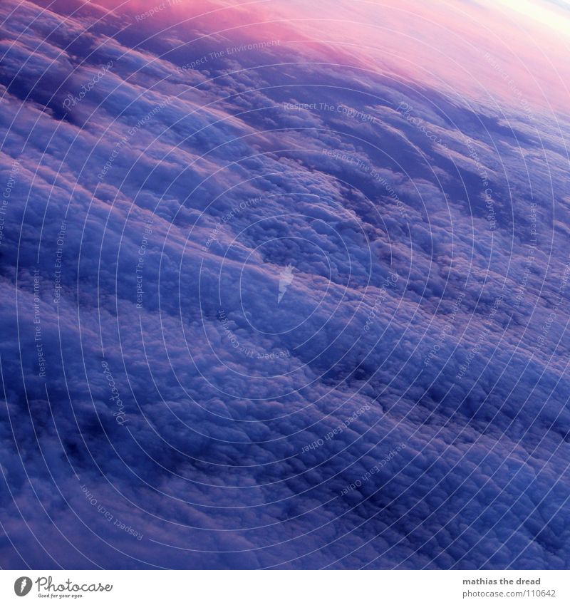über den wolken Wolken Altokumulus floccus weich violett rosa dunkel Nebel Flugzeug Sonnenaufgang fantastisch Luftverkehr Himmel oben blau mehrfarbig