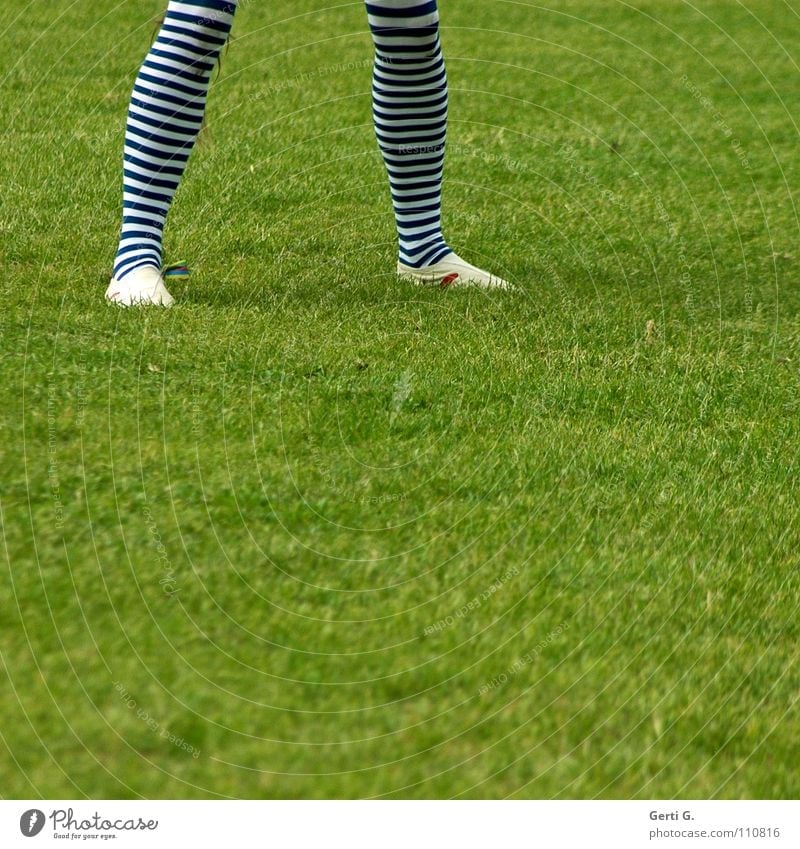 SchalkeFan gestreift Strumpfhose Ringelstrümpfe Strümpfe Wiese Gras gehen Bewegung grün blau-weiß Slipper Wade Turnen Turner Breitbeinig Mensch Bekleidung Beine