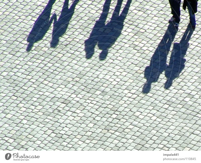 schattendasein III Fußgänger schwarz Bürgersteig Kopfsteinpflaster Spaziergang gehen Platz Fußgängerzone Dresden Gotteshäuser Kommunizieren Menschengruppe