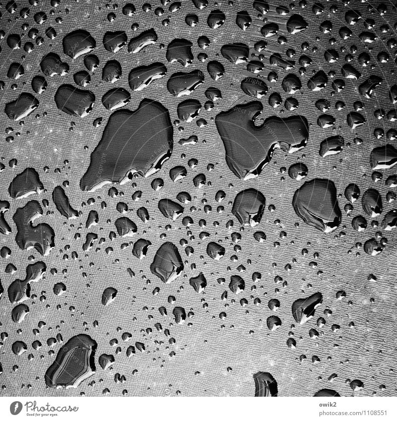 Dunkle Materie Wasser Wassertropfen Flüssigkeit glänzend nass unten Teerpappe Schwarzweißfoto Außenaufnahme Nahaufnahme Detailaufnahme abstrakt Muster