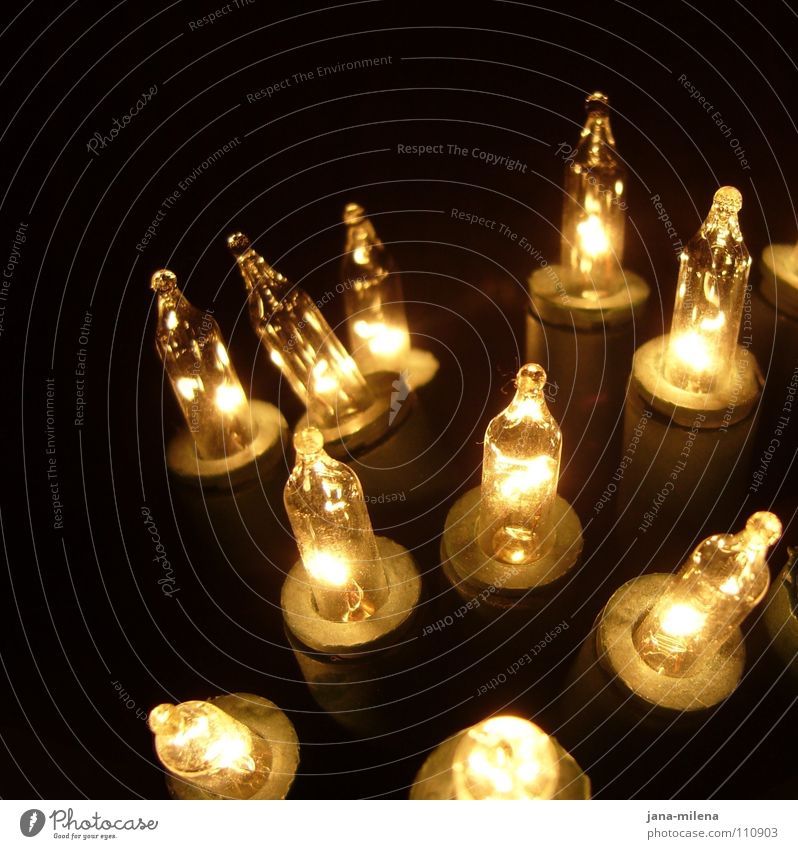 Erleuchtung Licht Erkenntnis erleuchten Glühbirne Lampe Lichterkette Weihnachtsmarkt Beleuchtung dunkel schwarz Lichtpunkt elektronisch Elektrisches Gerät