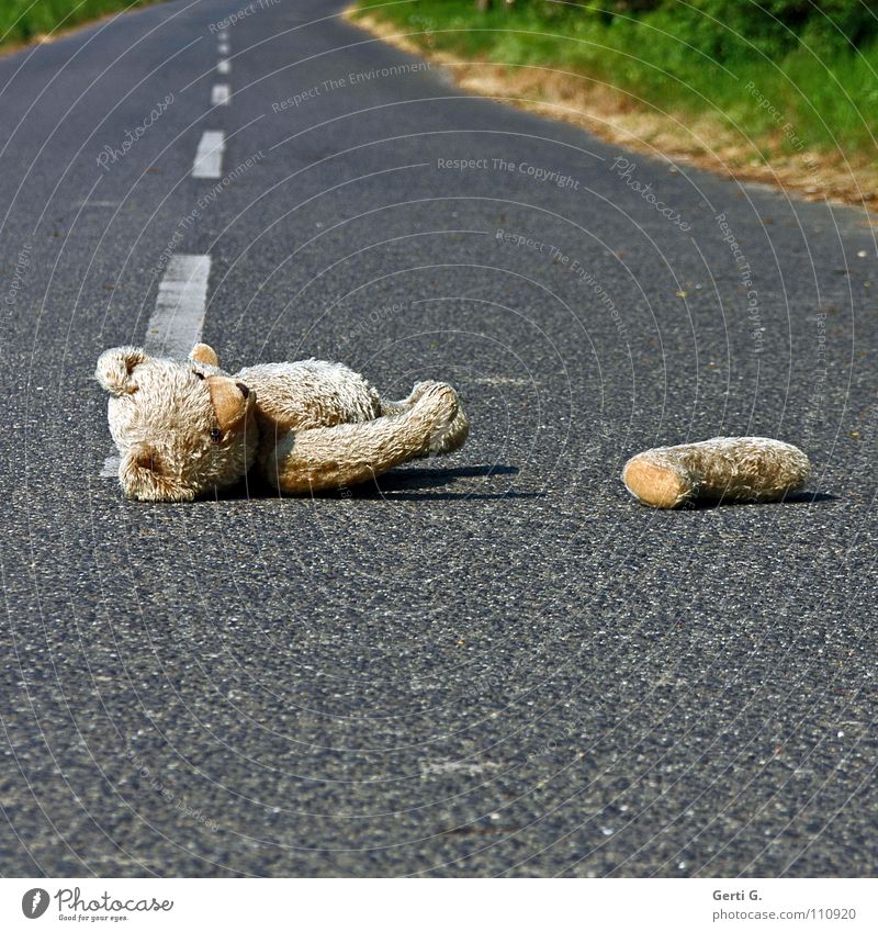 the poor hängen lassen Unfall Erste Hilfe verloren Verkehrsunfall Asphalt Straßenmitte Linie Streifen Sicherheit unsicher Spuren Tier Stofftiere Teddybär