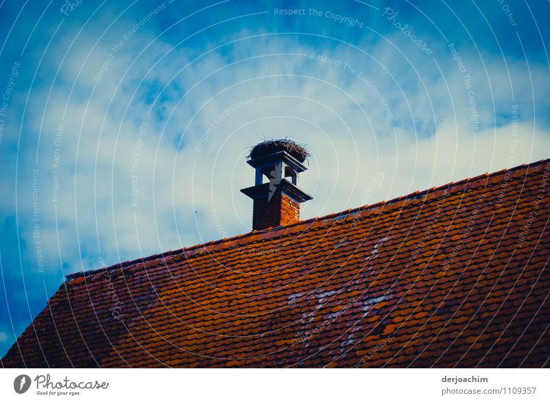" Noch frei" ist das Storchennest auf einem Haus mit hohen Schornstein. Das Dach ist mit roten Dachziegeln. Ein blauer Himmel steht über allem. Design ruhig