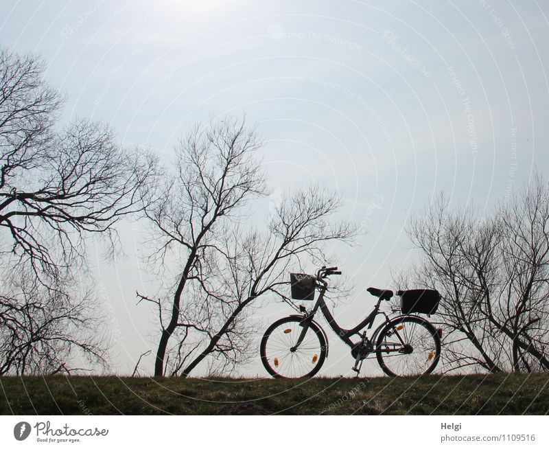 auf gehts... Freizeit & Hobby Fahrradtour Fahrradfahren Umwelt Natur Landschaft Pflanze Himmel Frühling Schönes Wetter Baum Sträucher Wege & Pfade stehen