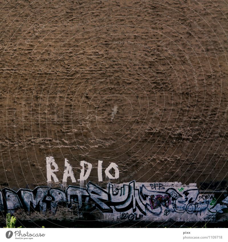BerlinRadio Freude Technik & Technologie Kunstwerk Radiogerät Pflanze Grünpflanze Menschenleer Mauer Wand Stein Beton Zeichen Schriftzeichen Graffiti alt