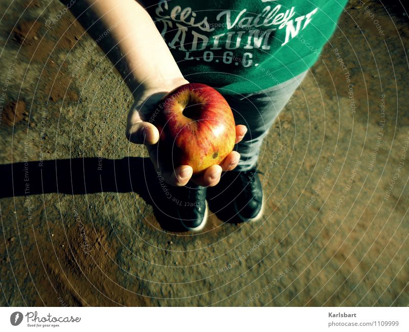 Saurer Apfel Lebensmittel Ernährung Essen Frühstück Bioprodukte Vegetarische Ernährung Diät Lifestyle Erntedankfest Kindererziehung Bildung Kindergarten lernen