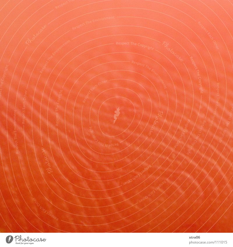 die linien Finger Fingerabdruck rosa Lachs Räucherlachs Biometrie Sicherheit erfassen Bestandsaufnahme Makroaufnahme Nahaufnahme Haut Linie hautlinien