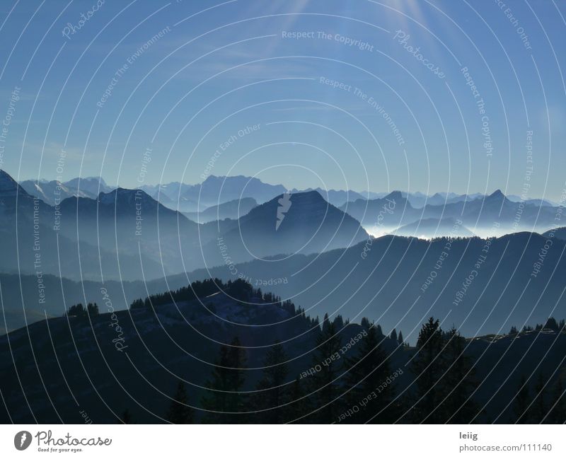land in sicht Nebel Hügel Horizont Licht ruhig glänzend Bergsteigen grau Schwäche kalt Kanton Appenzell Ferne dunkel Außenaufnahme Panorama (Aussicht) Herbst