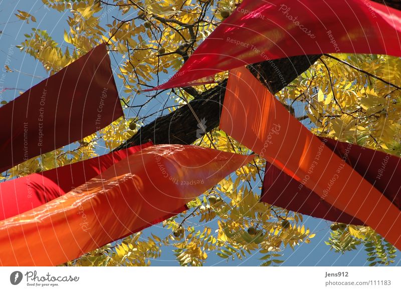Herbstbanner Fahne rot violett Stoff Blatt Baum gelb Dekoration & Verzierung Himmel Herbswind Wind orange Ast Zweig blau