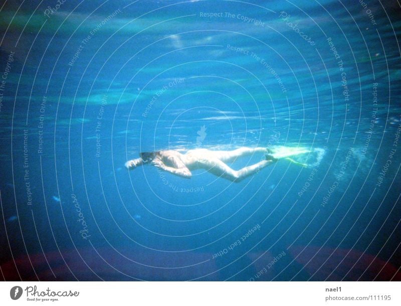 Schnorcheln Meer Sport Mensch feminin Körper Haut 1 Wasser See Bikini Schwimmen & Baden Bewegung Erholung ästhetisch Gesundheit nass dünn Wärme blau grün Freude
