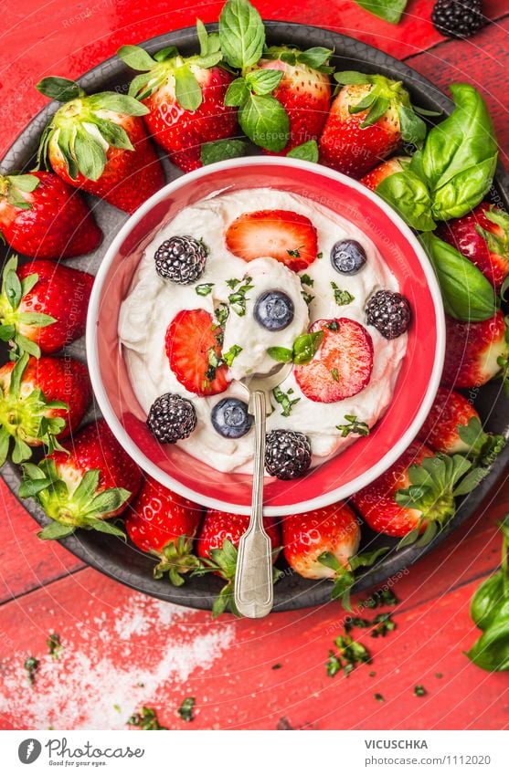 Schüssel mit Quark und Sommerbeeren Lebensmittel Joghurt Milcherzeugnisse Frucht Dessert Ernährung Frühstück Bioprodukte Vegetarische Ernährung Diät