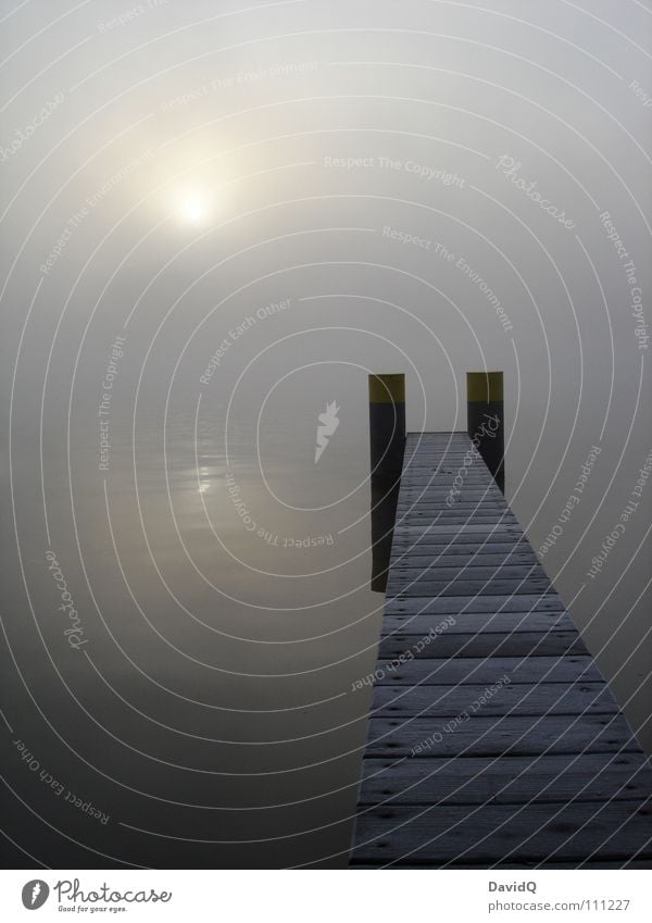 unklar Gewässer See Teich Binnensee Nebel Morgennebel grau schlechtes Wetter dunkel Tau Waschhaus Wasseroberfläche Reflexion & Spiegelung Steg Anlegestelle