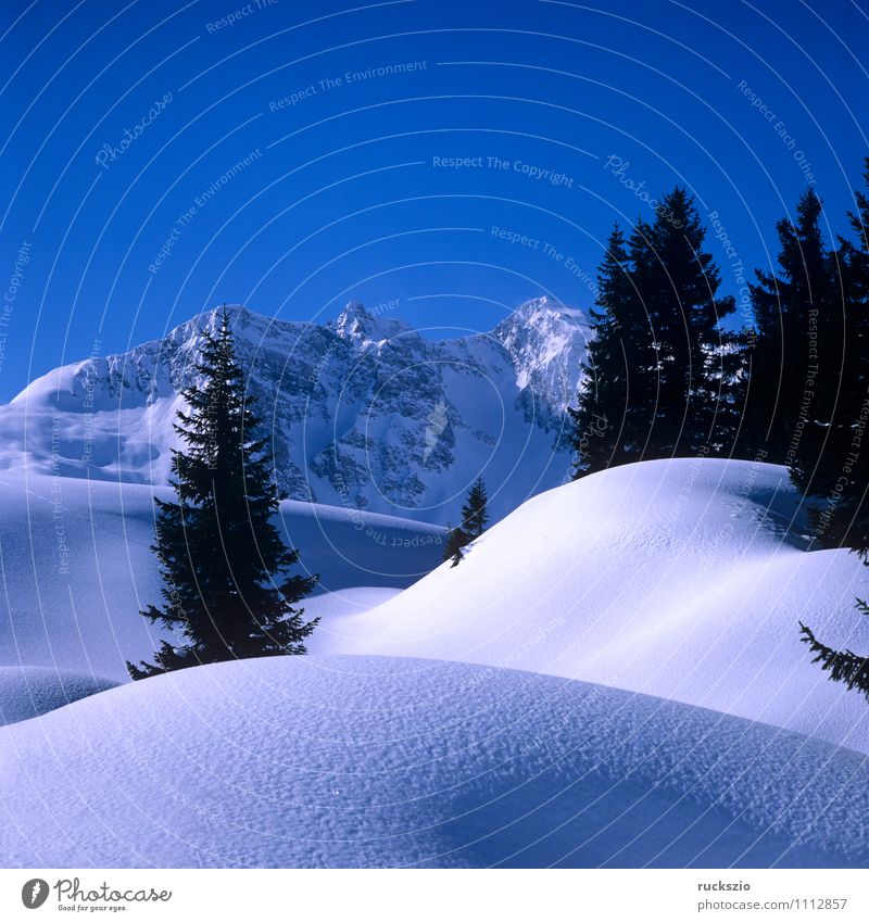 Winterlandschaft; Warth, Arlberg Schnee Berge u. Gebirge Natur Landschaft Baum Wald Alpen Gipfel kalt Berg Arlberg Arlberggebiet Eis Eindruck