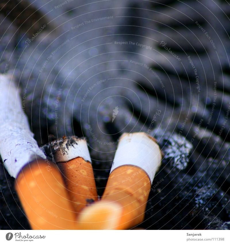 Wer früher stirbt, ist länger tot Zigarette Tabak Aschenbecher Müllbehälter Rauchen Lunge Teer Nikotin Rauchen verboten Ekel schwarz grau weiß Geruch ungesund