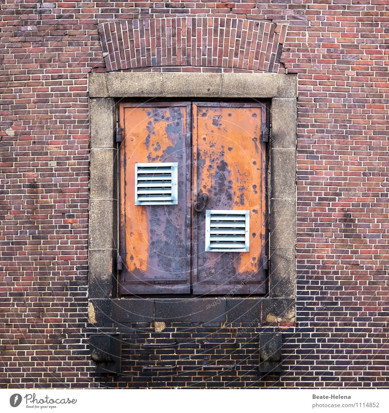 Ein-Blick in die Speicherstadt Ausflug Abenteuer Bildungsreise Hamburg Industrieanlage Bauwerk Gebäude Architektur Mauer Wand Fassade Tür Sehenswürdigkeit