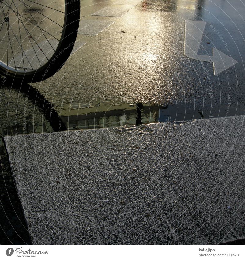 kilometer 21,3 Fahrrad Speichen Teer Fahrradweg Mantel Schlauch Ventil Verkehrsregel Glätte Rutschgefahr Reflexion & Spiegelung Pfütze nass November kalt