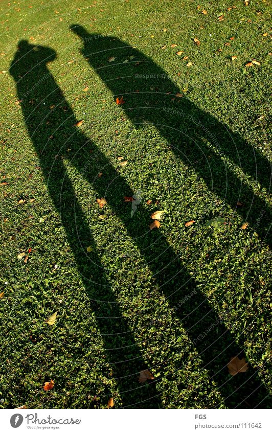 Kung Fu Fitghting #4 chinesische Kampfkunst Gras grün 2 Blatt Zeitvertreib Worms Wiese Fußtritt Fotografieren gehen Kranich Kampfsport Defensive Geschwindigkeit