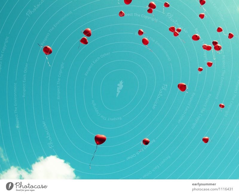 rote Herzluftballons fliegen in den Himmel bei einer Hochzeit herzförmig Liebe Romantik Valentinstag Liebesgruß Heliumballons trauung trauungszeremonien Heirat