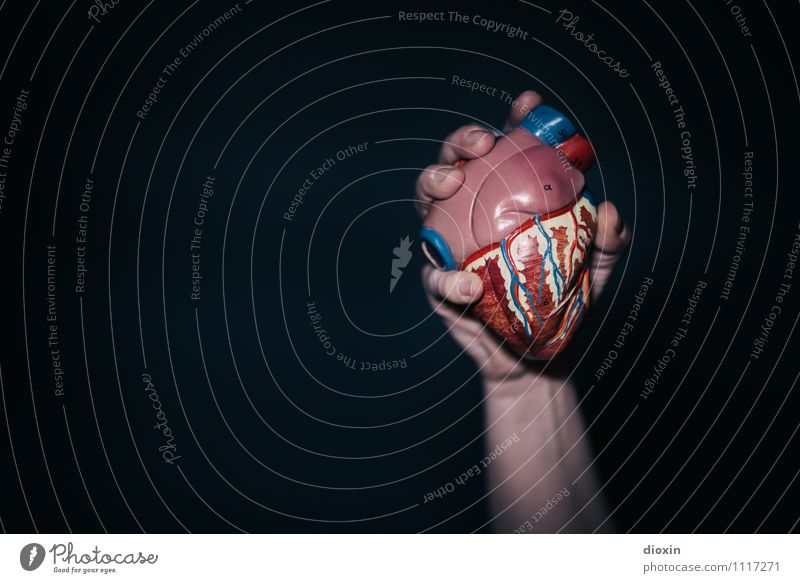 herzhaft Gesundheit Gesundheitswesen Krankheit Arme Hand Herz Herz-/Kreislauf-System festhalten Medikament Organ Organspender Muskulatur Blut Pumpe Herzinfarkt