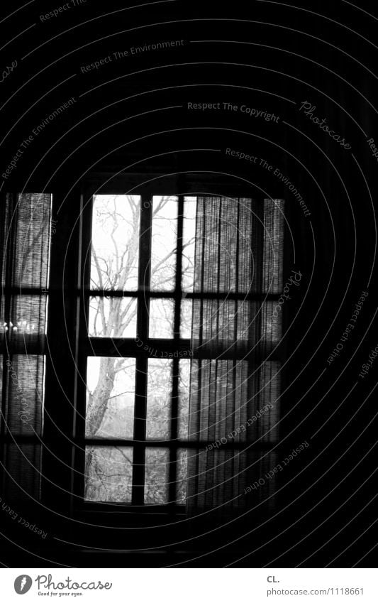 fenster Häusliches Leben Raum Baum Mauer Wand Fenster Vorhang Gardine dunkel gruselig Fernweh Einsamkeit Schwarzweißfoto Innenaufnahme Menschenleer
