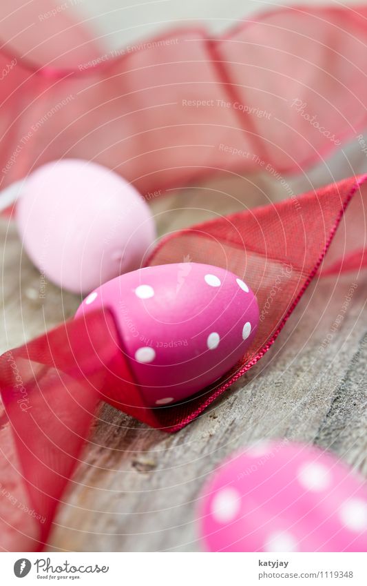 Ostereier Ostern Osternest Farbe rosa Ostermontag Hintergrundbild Fröhlichkeit Ei Osterhase Frühling nah violett Nahaufnahme Werkstatt rot