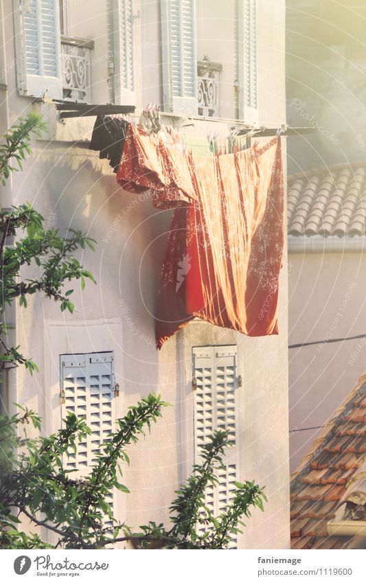 au 7ème Stadt Hafenstadt Haus Traumhaus Fenster frisch Marseille Süden Südfrankreich Wäsche Wäscheleine trocknen mediterran rot orange gold Fensterladen Baum