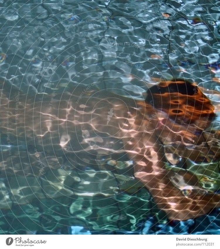 Wasserspiele Farbfoto Detailaufnahme Strukturen & Formen Kunstlicht Licht Kontrast Reflexion & Spiegelung Lichterscheinung Unschärfe Oberkörper Körper Wellness