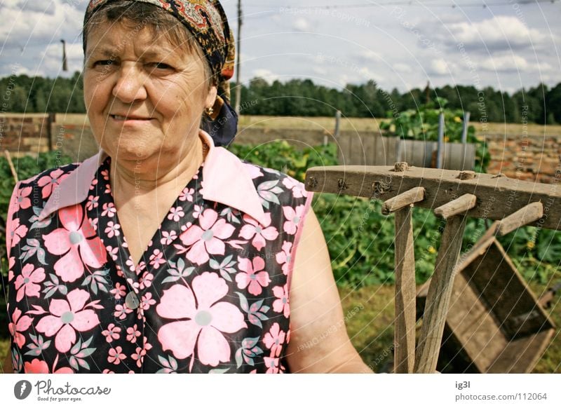 zahn der zeit Frau Großmutter alt Wachstum Ruhestand Landwirt Bauernhof Tier Landwirtschaft Ernährung Zerealien Vitamin Gras Stroh trocken trocknen edel
