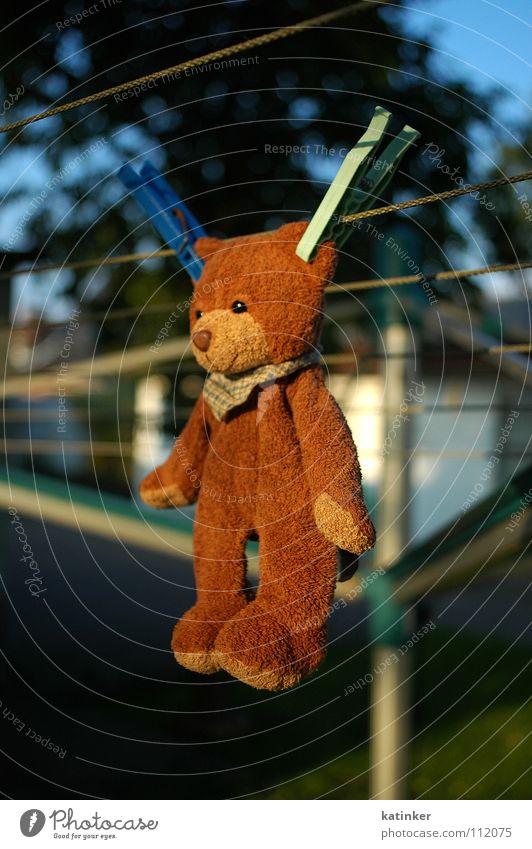 ...abhängen... Teddybär Wäscheleine Wäscheklammern aufhängen Klammer obskur aufgehängt Bär