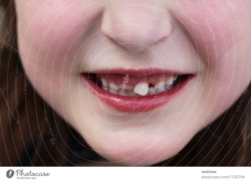 Wackelzahn Kind Mädchen Kindheit Gesicht Nase Mund Lippen Zähne Schneidezahn Milchzähne 1 Mensch 3-8 Jahre hängen Lächeln leuchten Wachstum Freundlichkeit