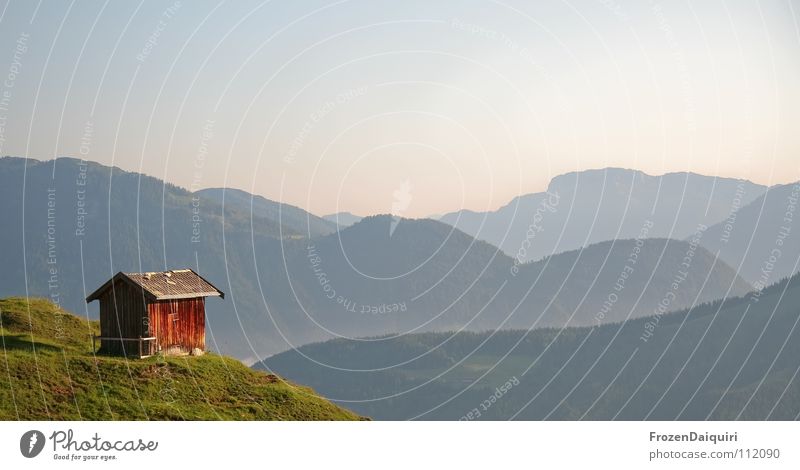 lonely planet Haushuhn Bundesland Tirol wandern Kitzbüheler Alpen Österreich Natur Einsamkeit grün Panorama (Aussicht) Bergkamm Wiese Alm Bergwiese Gras Pflanze