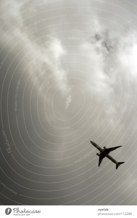 350 Flugzeug Wolken Abheben Ankunft Einflugschneise Blick nach unten abwärts Flugsicherheit Langstrecke Triebwerke Ferien & Urlaub & Reisen fliegen Luftverkehr