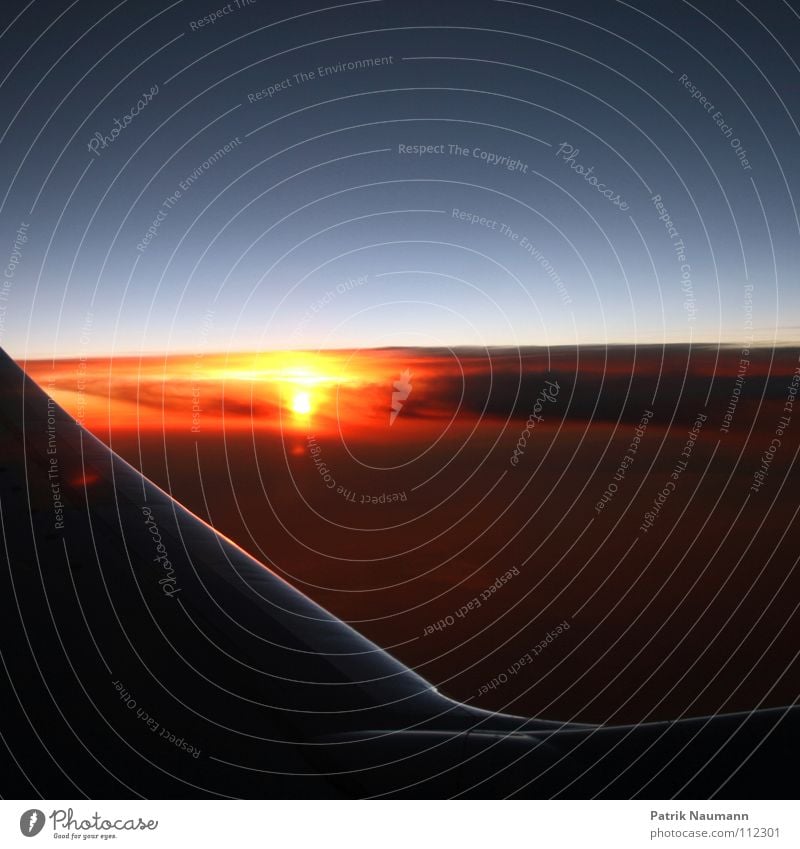 ab in den Süden III Flugzeug Abdeckung Tragfläche Sonnenaufgang Sonnenuntergang Wolken Ferien & Urlaub & Reisen Erholung Spanien technisch Metall Streifen