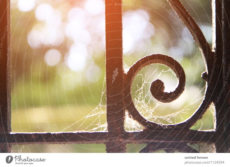 FF# Sunny Day Kunst ästhetisch Zufriedenheit Idylle friedlich verträumt Geländer verziert Spinnennetz alt Unbewohnt historisch abgelegen Detailaufnahme