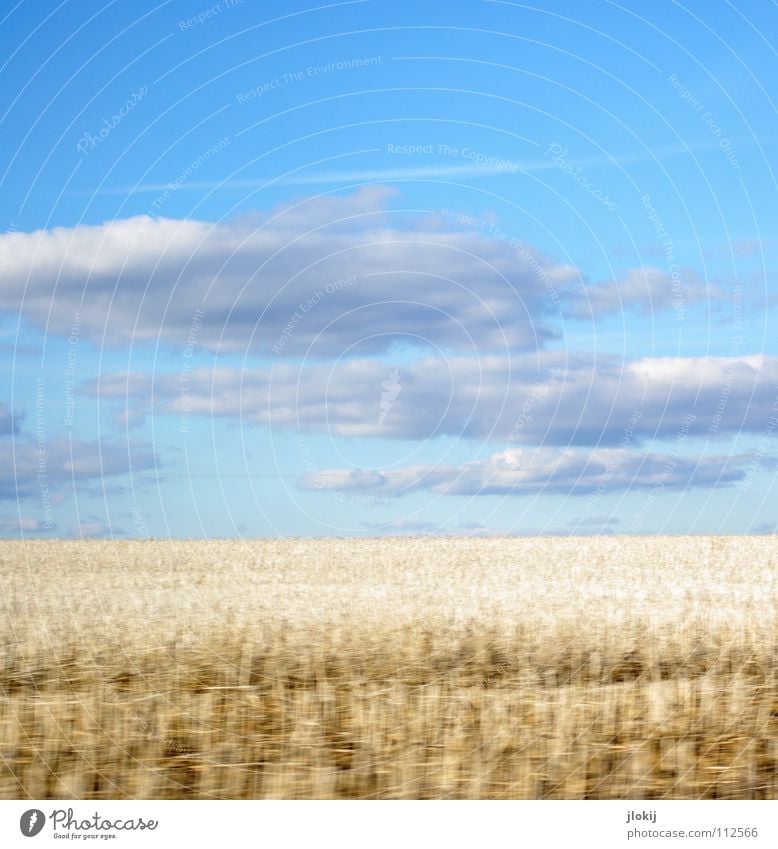Weißes Feld Weizen Stoppelfeld weiß Wolken Himmel fahren Geschwindigkeit Momentaufnahme Kondensstreifen Herbst Getreide Rogge blau clouds sky field white blue