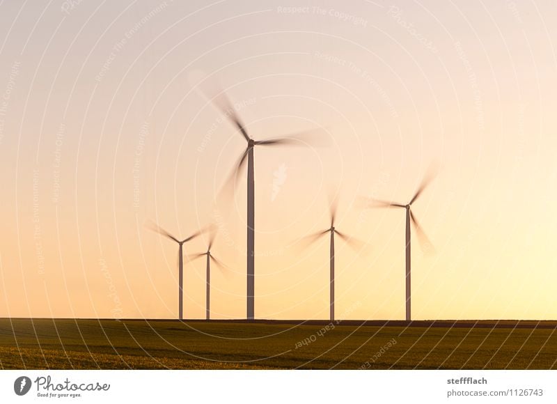 Abend Wind Landwirtschaft Forstwirtschaft Industrie Energiewirtschaft Technik & Technologie Fortschritt Zukunft Erneuerbare Energie Windkraftanlage Energiekrise