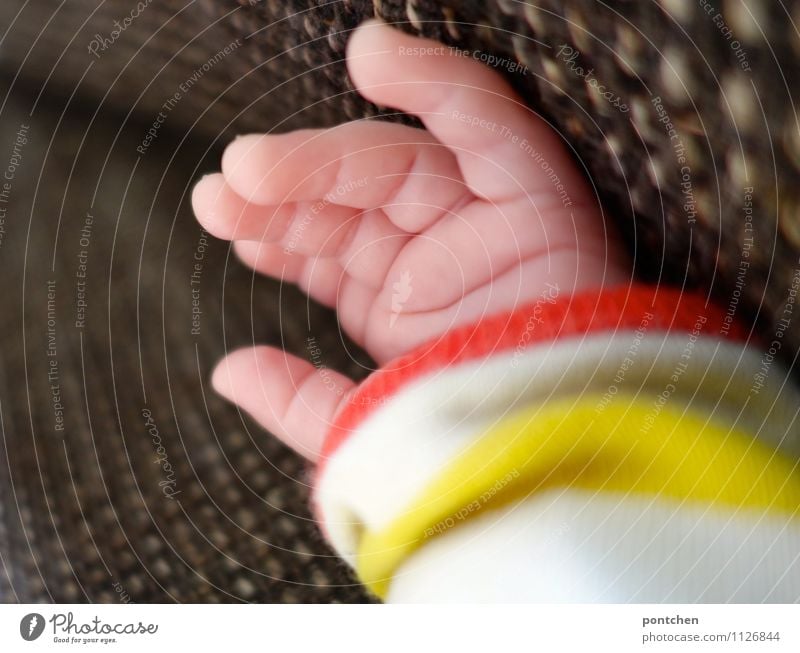 Hand eines neugeborenen Babys in gelb weißem Pulli liegt auf einem Sofa Finger 0-12 Monate liegen klein Streifen Pullover Stoff ruhig orange Hautfalten