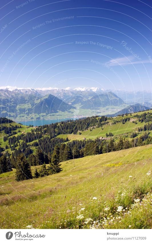 Switzerland Umwelt Natur Landschaft Pflanze Erde Luft Wasser Himmel Wolkenloser Himmel Horizont Sonne Sonnenlicht Frühling Sommer Klimawandel Wetter
