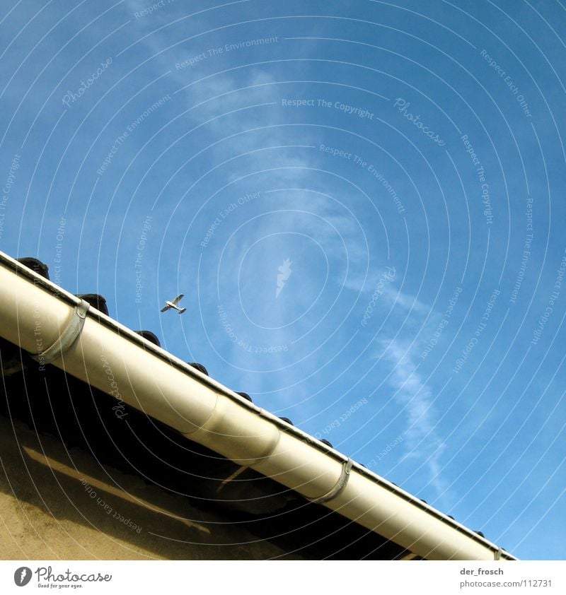 überflieger Flugzeug Regenrinne Dach Dachgiebel Haus Wand Detailaufnahme Luftverkehr Himmel blau Schatten