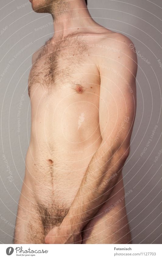 männlich Mensch maskulin Junger Mann Jugendliche Brust Bauch Oberkörper Schambereich 1 18-30 Jahre Erwachsene Brustbehaarung Schamhaare stehen ästhetisch Erotik