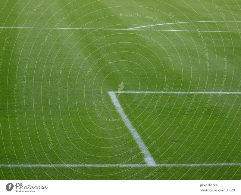 Fußballrasen Strafraum Rostock grün weiß Rasen Linie