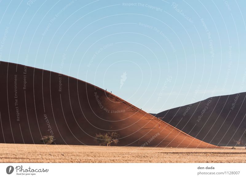 Namib Desert Sossusvlei Natur Landschaft Erde Sand Wolkenloser Himmel Klima Klimawandel Schönes Wetter Wildpflanze Hügel Wüste Namibia entdecken wandern heiß