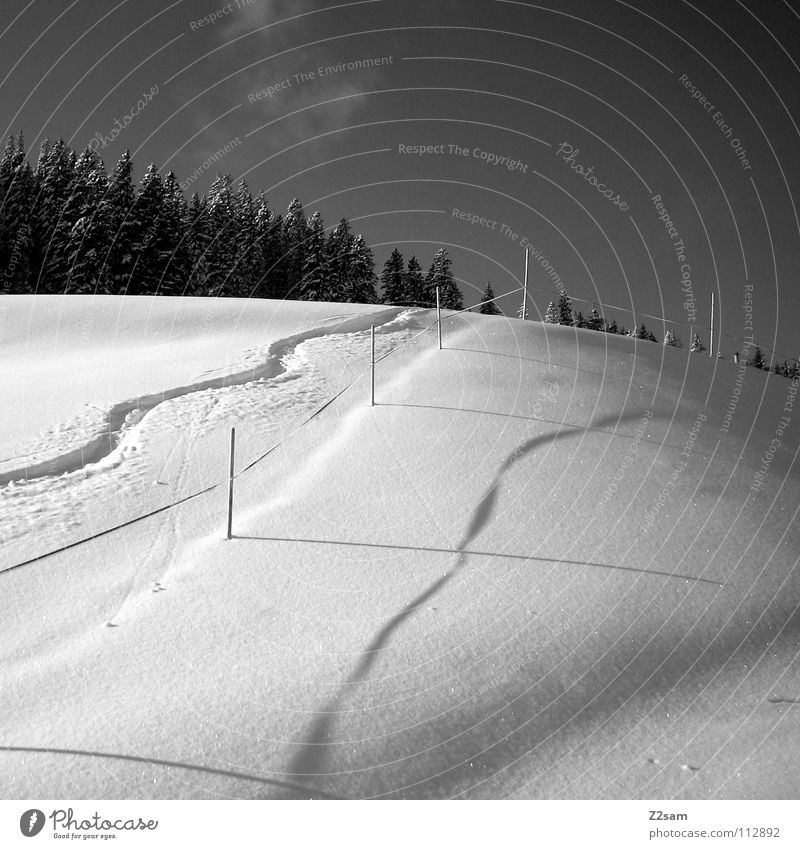Wintertraum Snowboarding Wald Schneelandschaft kalt Tiefschnee Skigebiet schwarz weiß Wintersport Einsamkeit Schlangenlinie Wellen aufwärts Barriere schön Linie